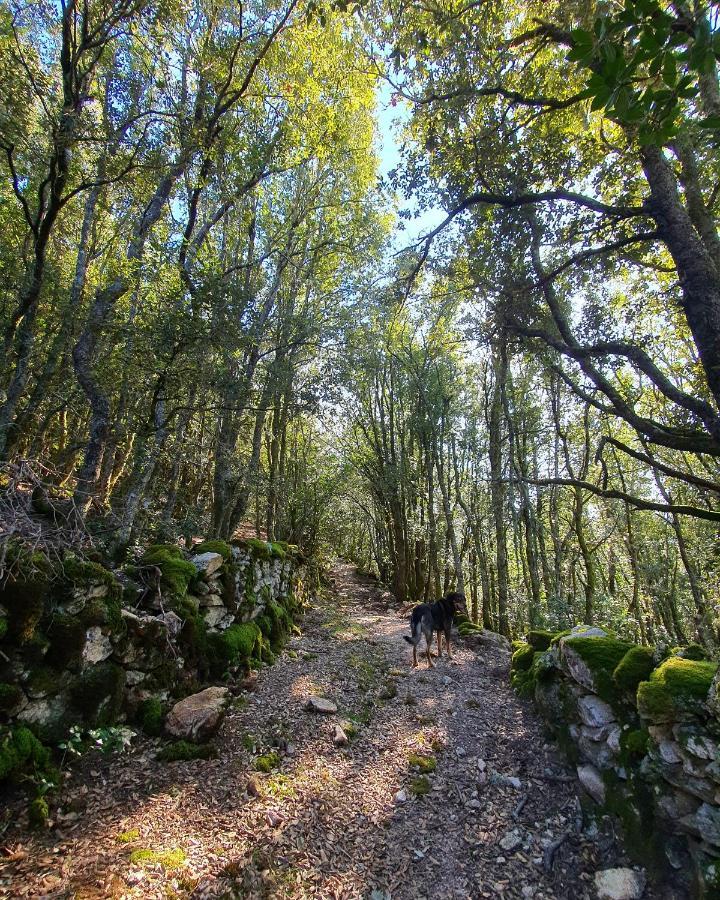 Casa Nanuccia Bed and Breakfast Bastelica Εξωτερικό φωτογραφία